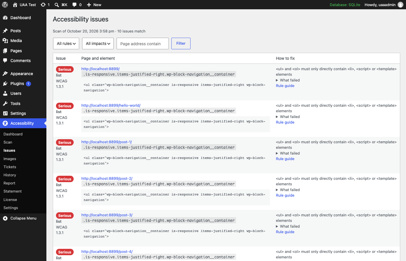 The Issues screen: each failing element with its page, CSS selector, HTML and a link to how to fix it.